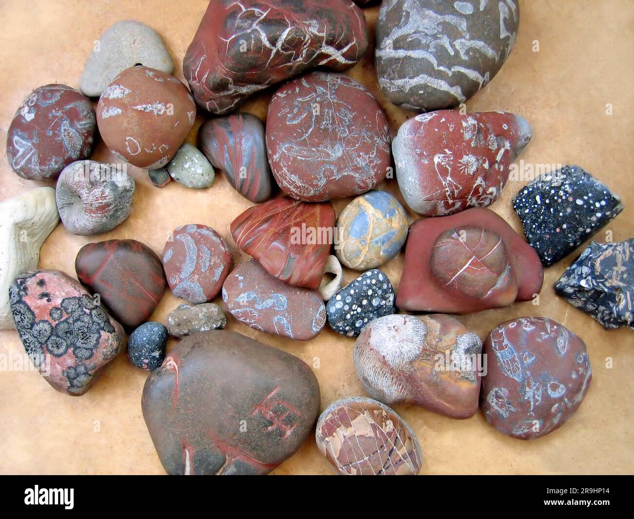 Nahaufnahme von bunten Kieseln Stockfoto