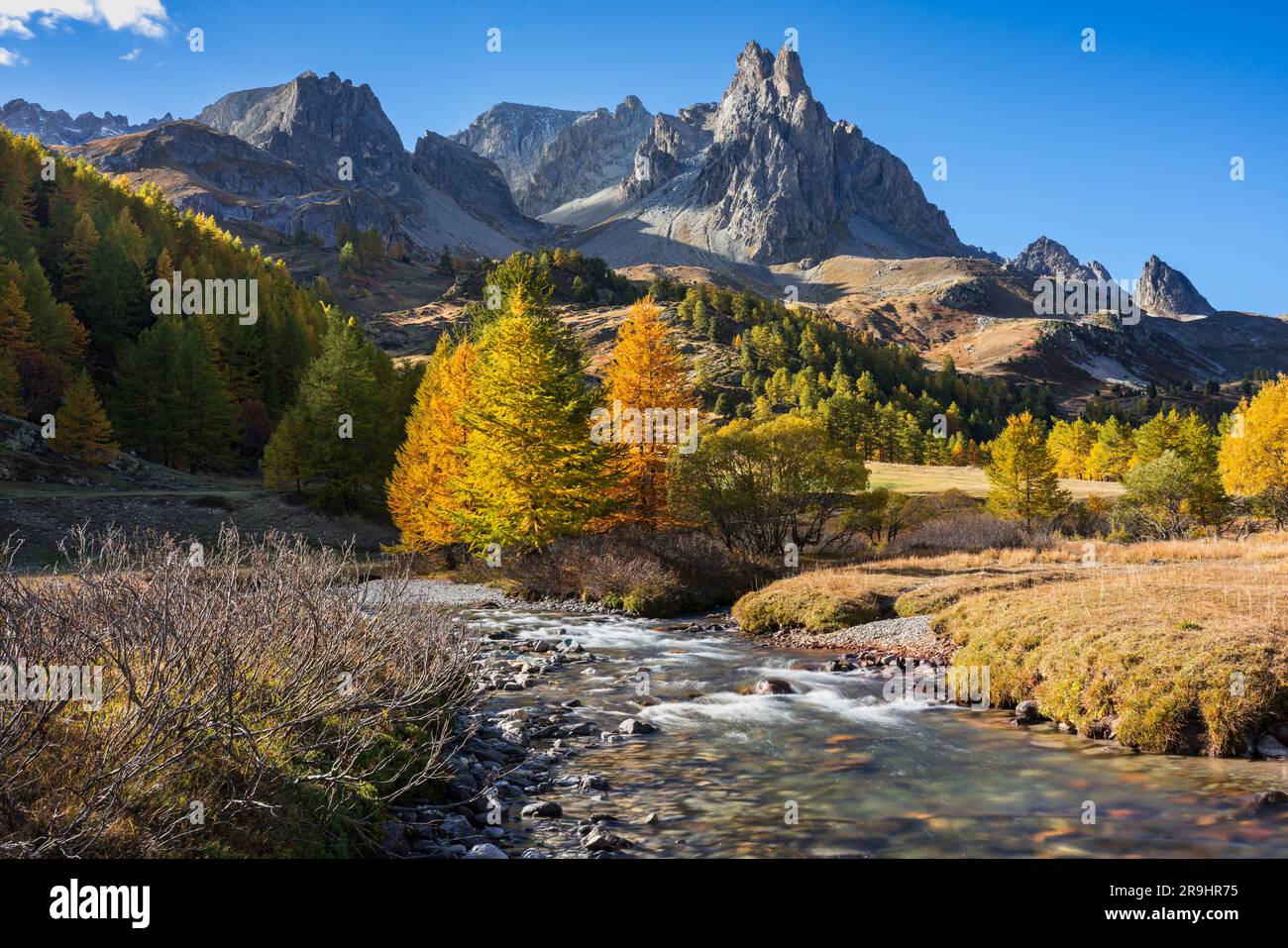 Claree Valley in den französischen Alpen mit Lärchenbäumen und dem Gipfel des Main de Crepin. Herbst im Cerces Massif. Hautes Alpes, Frankreich Stockfoto
