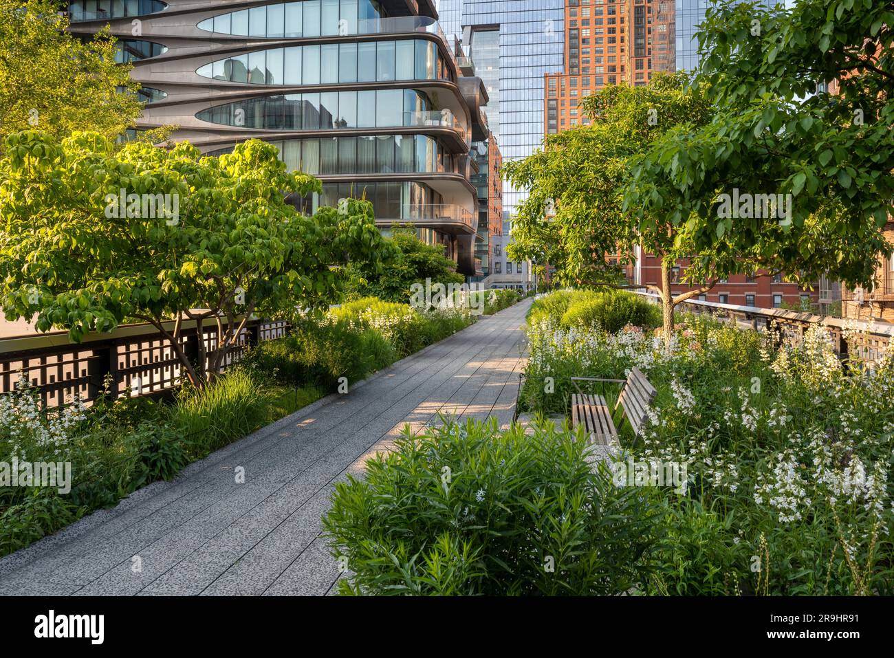 Die High Line Park Promenade im Sommer. Erhöhter Green Way im Herzen von Chelsea, Manhattan. In New York City Stockfoto