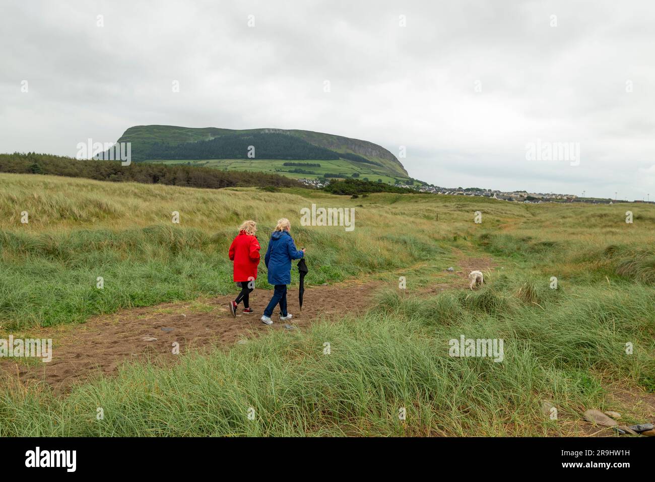 Menschen, die in der Nähe von Strandhill Beach und Sanddünen unter Knocknarea Mountain, Strandhill, Country Sligo, Irland zu Fuß gehen Stockfoto