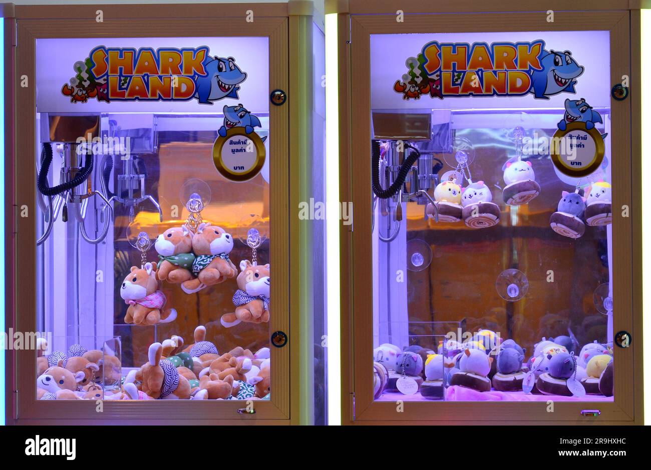Ein Spielautomat in einem Einkaufszentrum in Bangkok, Thailand, lädt die Menschen ein, Münzen einzustecken, um mit dem Kran oder Greifer ein kuscheliges oder weiches Spielzeug zu gewinnen. Die Maschine trägt den Namen „Shark Land“, was bedeutet, dass Herausforderungen vor uns liegen, bevor man ein Spielzeug gewinnt. Stockfoto