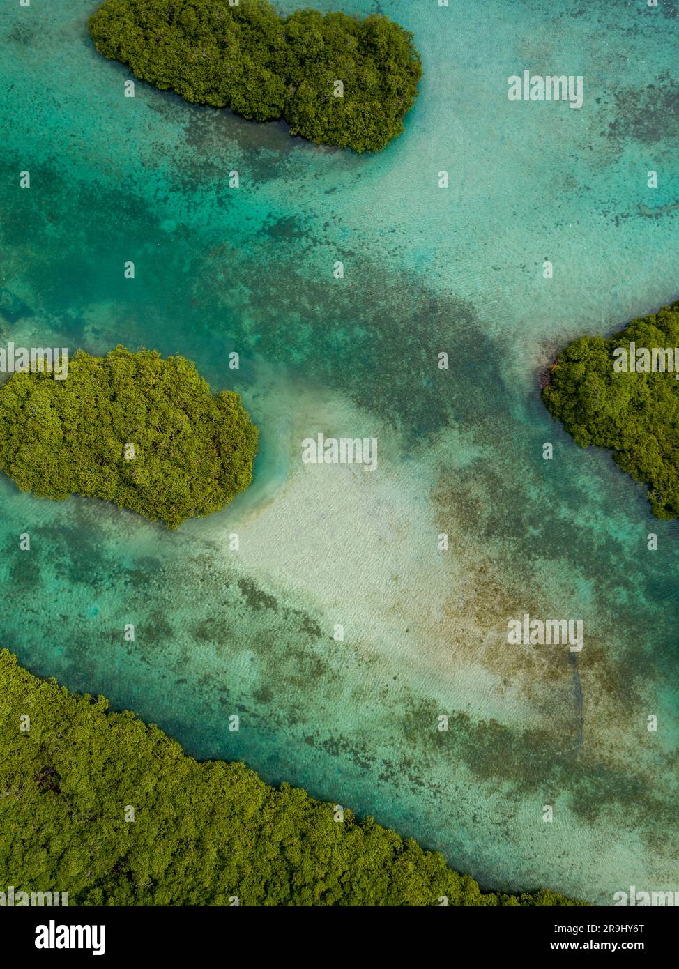 Luftaufnahme von Mangroven und Sandbänken entlang der Venas Azules Gegend, Portobelo, Panama - Stockfoto Stockfoto