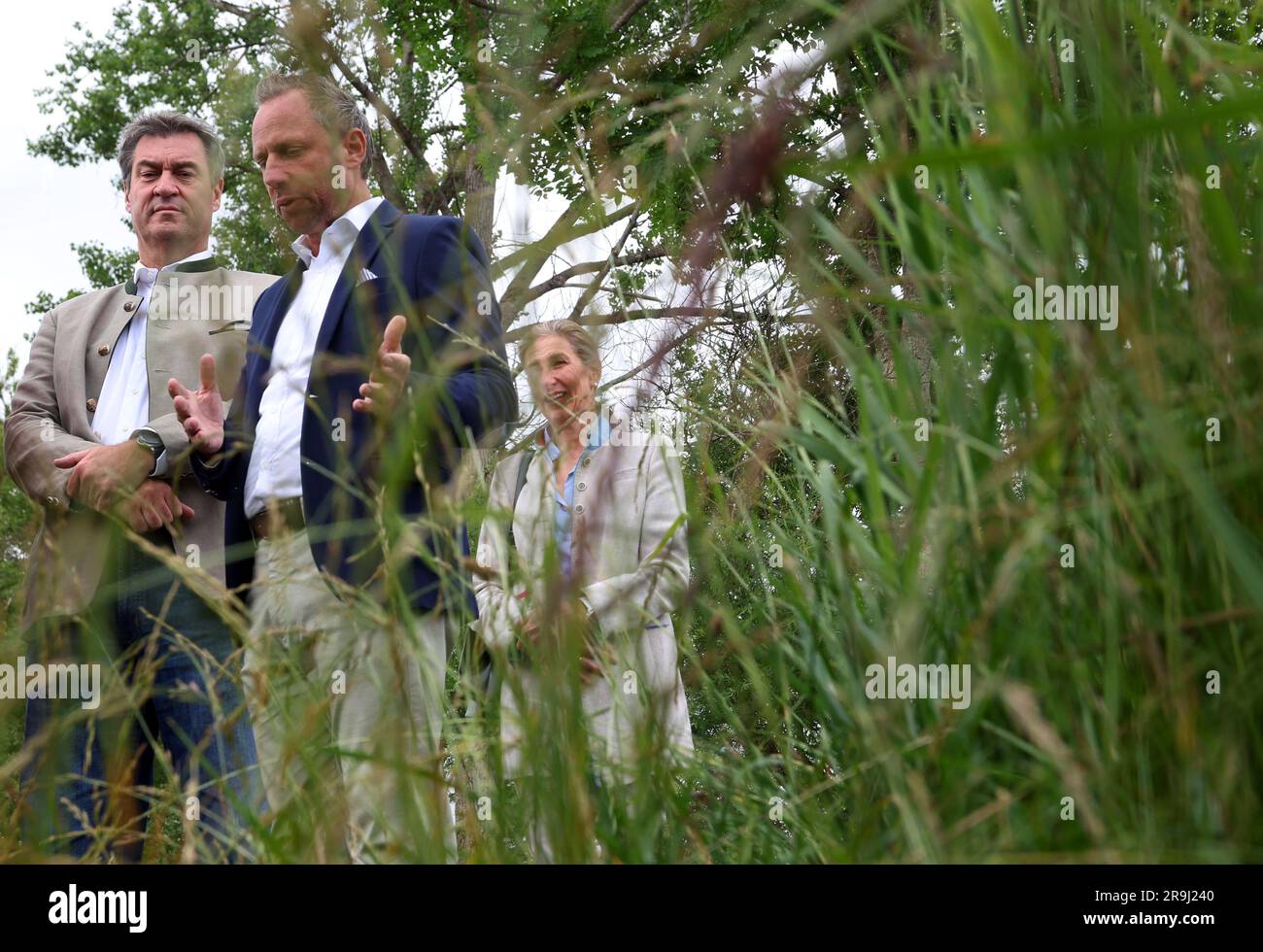 Bidingen, Deutschland. 27. Juni 2023. Markus Söder, Bayerischer Ministerpräsident (. CSU) und der bayerische Umweltminister Thorsten Glauber (M, Freie Wähler) besuchen das Allgäu Moor in Dachssee im Vorfeld einer Kabinettssitzung. Kredit: Karl-Josef Hildenbrand/dpa/Alamy Live News Stockfoto