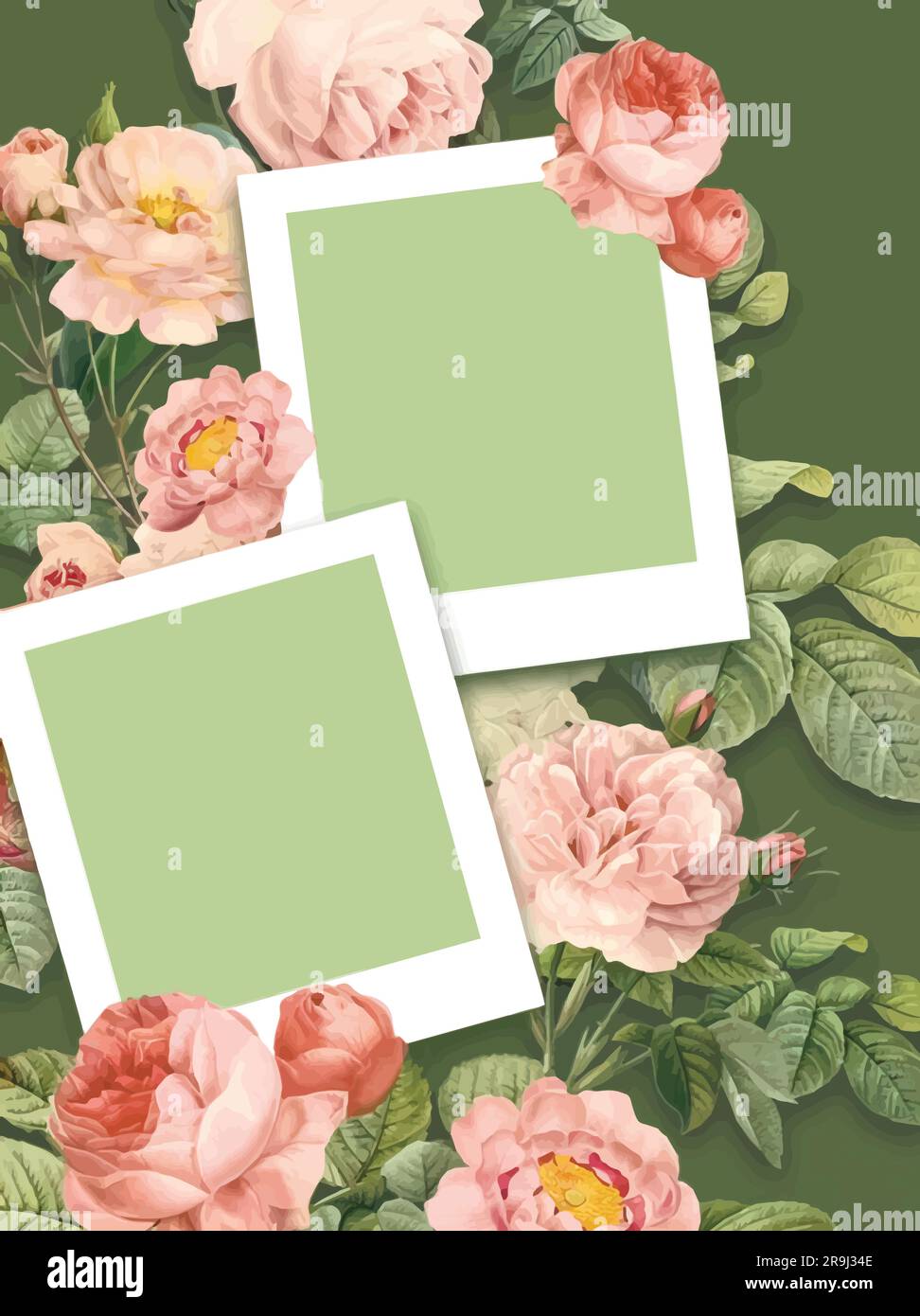 Blumendesign mit zwei Karten. Rahmen mit Blumenmotiv Stock Vektor