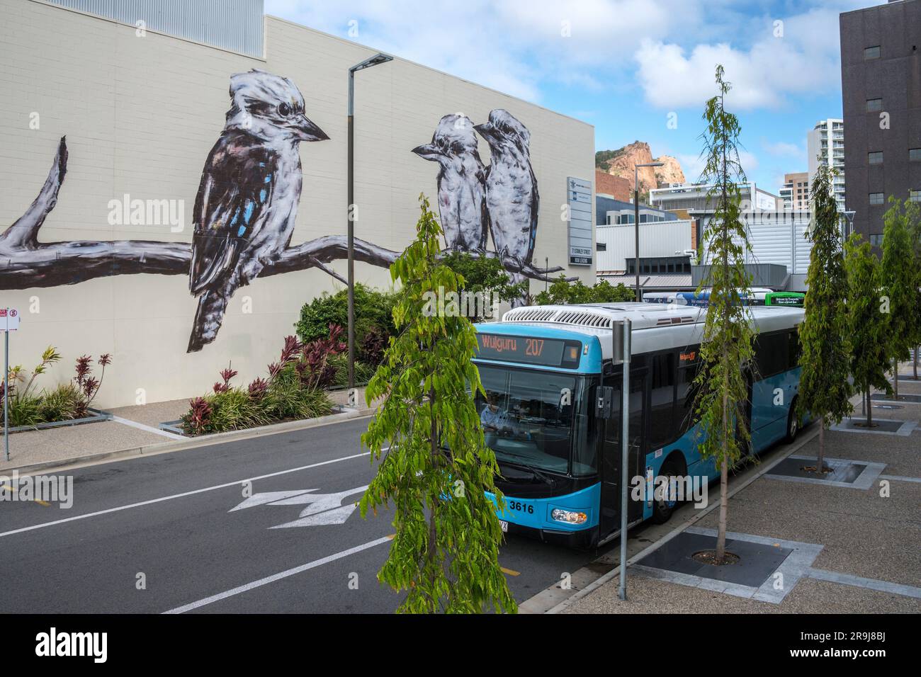 Street Art in Fraley Lane, Townsville, Queensland, Australien Stockfoto