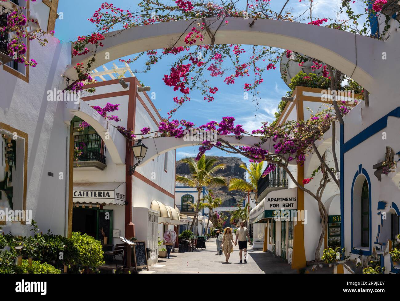 Die Straße von Puerto de Mogán mit ihren weißen Häusern mit den Rahmen von Türen und Fenstern, die in hellen Farben bemalt sind. Mehrere Bougainvilleen und Bäume. Charme Stockfoto