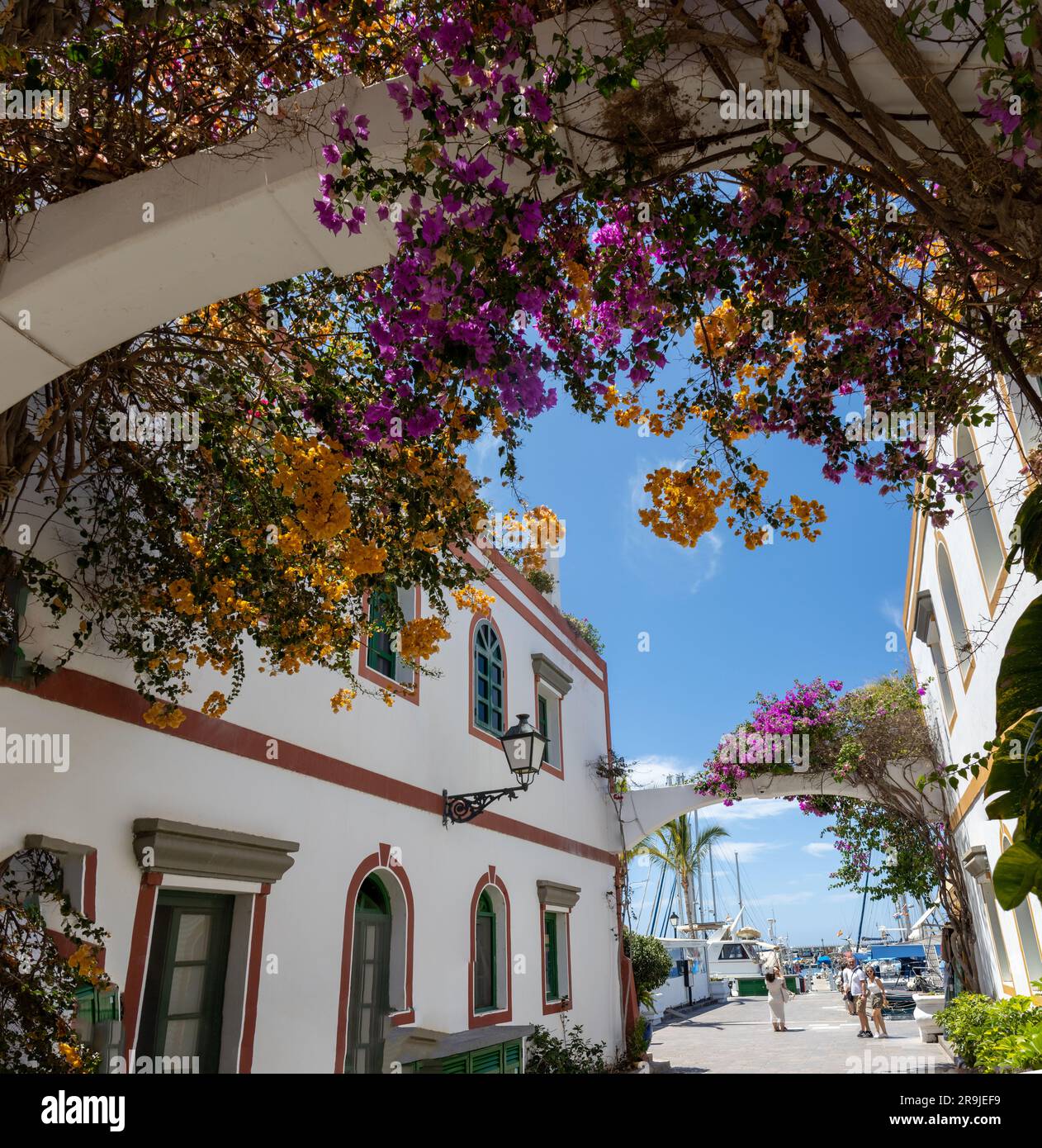 Die Straße von Puerto de Mogán mit ihren weißen Häusern mit den Rahmen von Türen und Fenstern, die in hellen Farben bemalt sind. Mehrere Bougainvilleen und Bäume. Charme Stockfoto