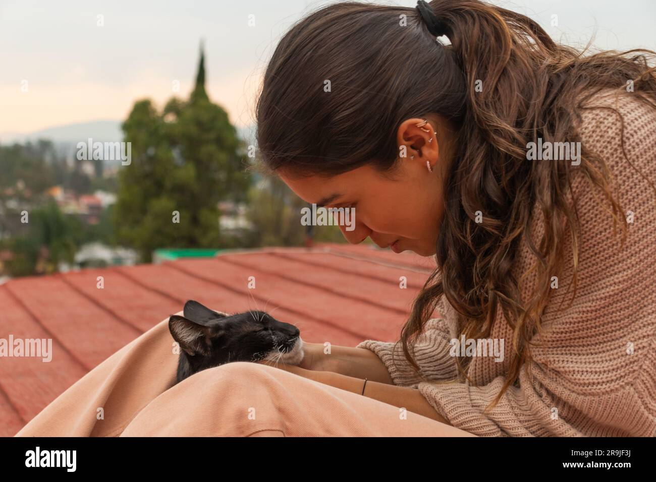 Seitenansicht einer freundlichen neuen Eigentümerin, die mit einer süßen, dreckigen weißen und schwarzen Katze auf dem Dach sprach Stockfoto