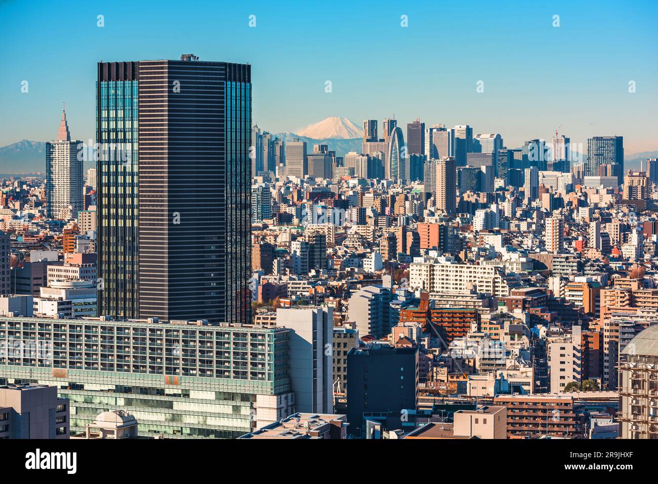 Tokio, Japan in Shinjuku mit Mt. Fuji am Horizont. Stockfoto