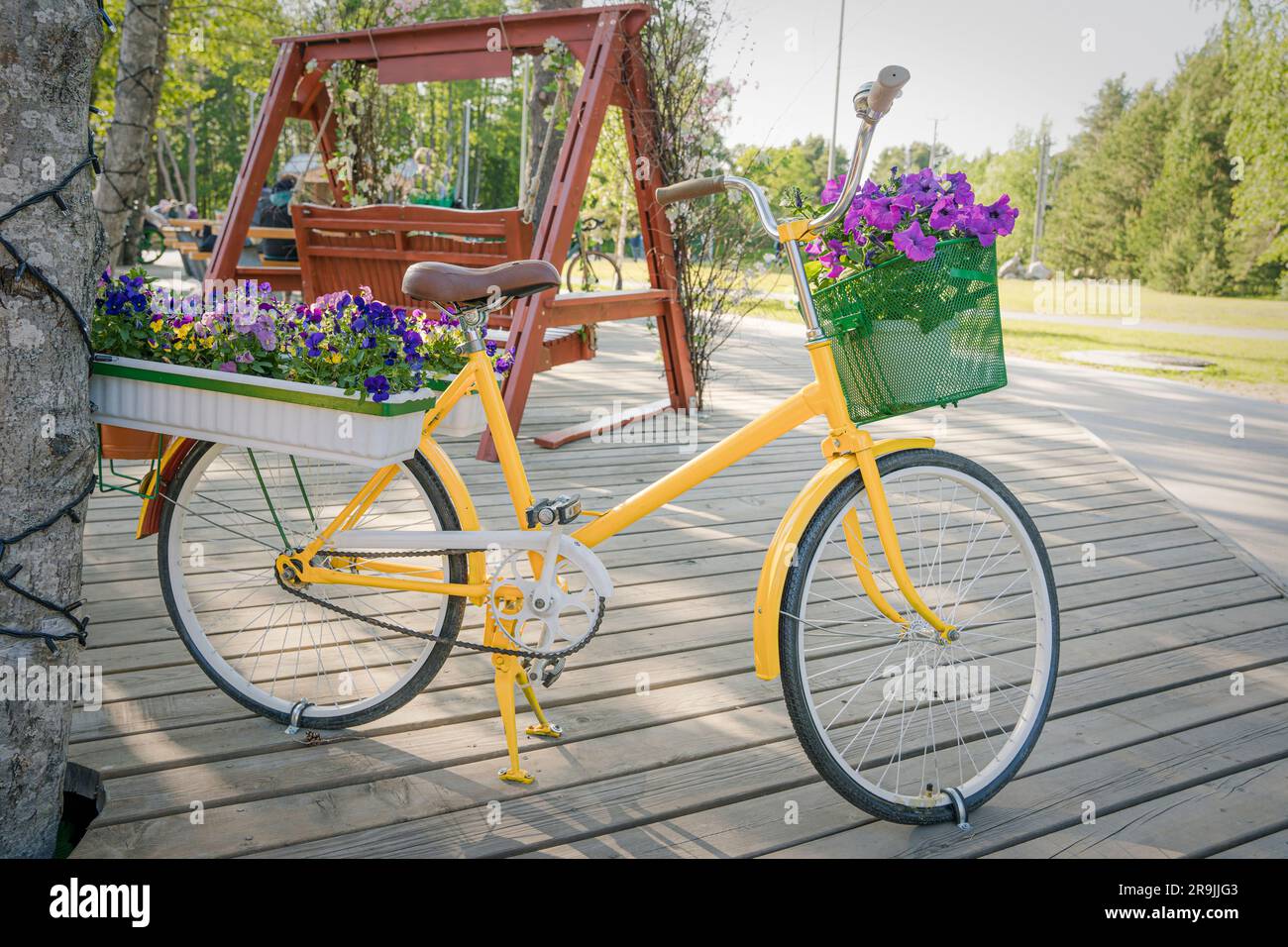 Gelbes Damenfahrrad mit Blumenksten zum Dekorieren von Straen und Cafs  im Freien. Damenfahrrad mit Blumendekor oder ein altes Fahrrad mit Flo  Stockfotografie - Alamy