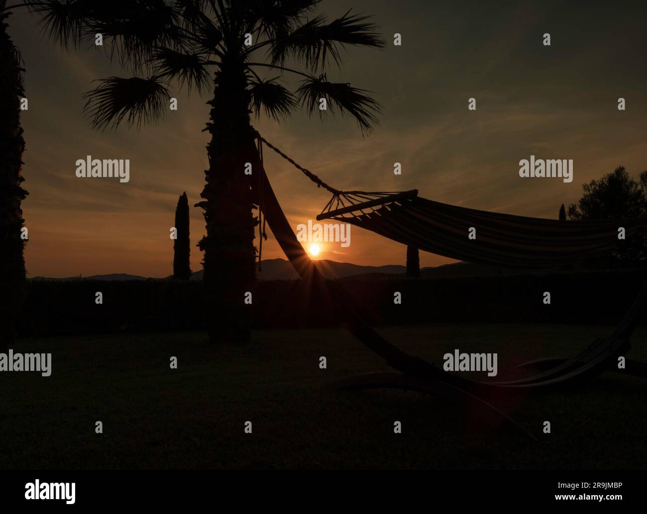 Silhouette aus Hängematten und Palmen im Garten, Grosseto, Italien Stockfoto