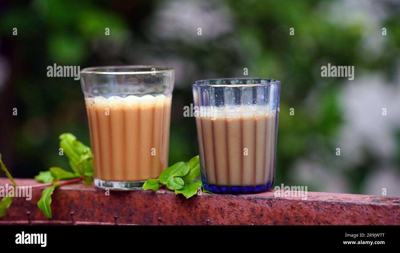 Tee mit frischer Milch oder indisches Kadak Chai. Stockfoto