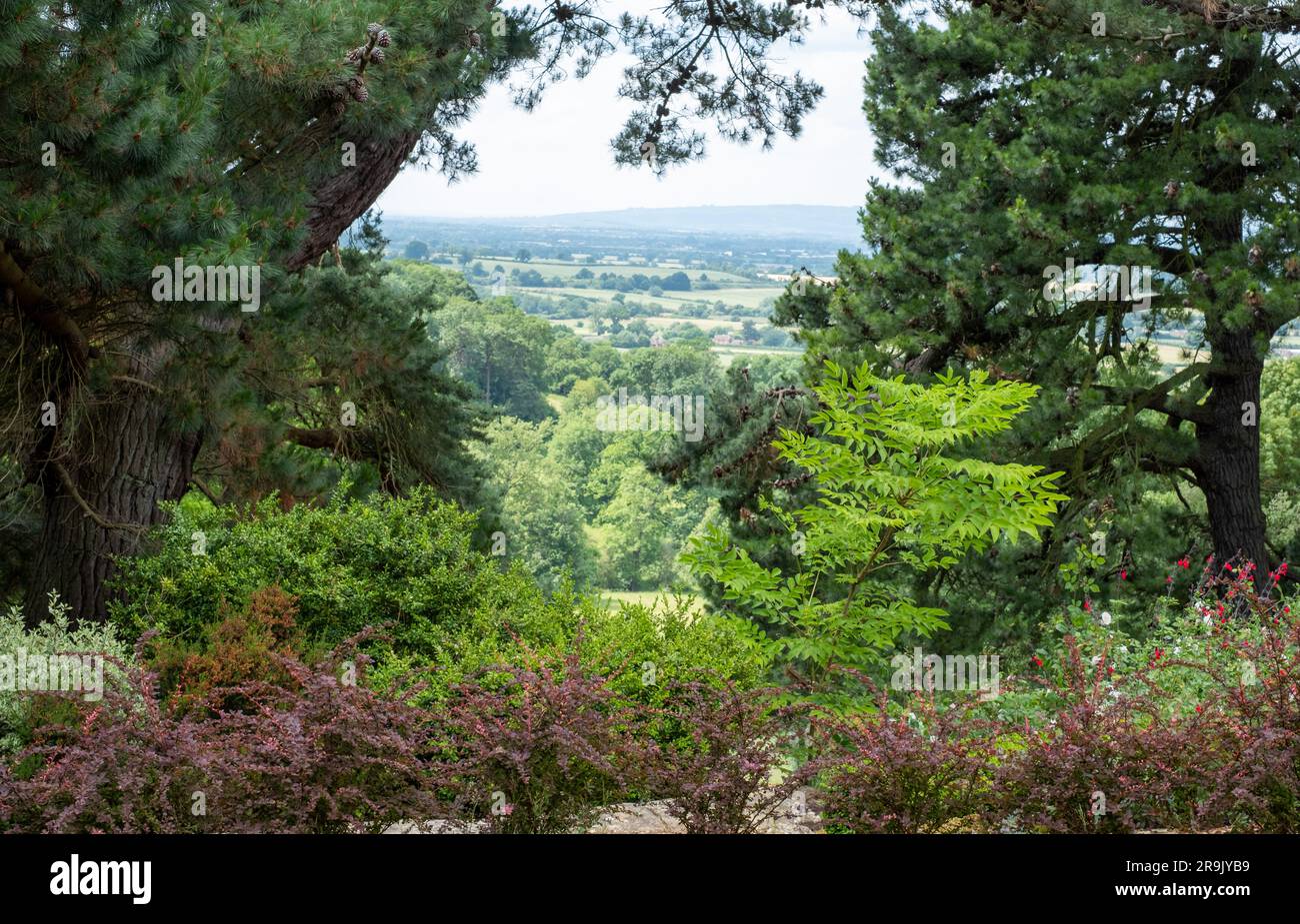 Blick durch die Bäume über den Malvern Hills von Kiftsgate Court Gardens, Gloucestershire in den Cotswolds, Großbritannien Stockfoto