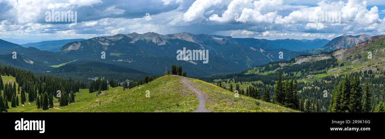 Storm Mountains - Anthrazitenpanorama der West Elk Mountains, umgeben von dichtem immergrünen Wald, an einem stürmischen Sommertag. Crested Butte, CO. Stockfoto