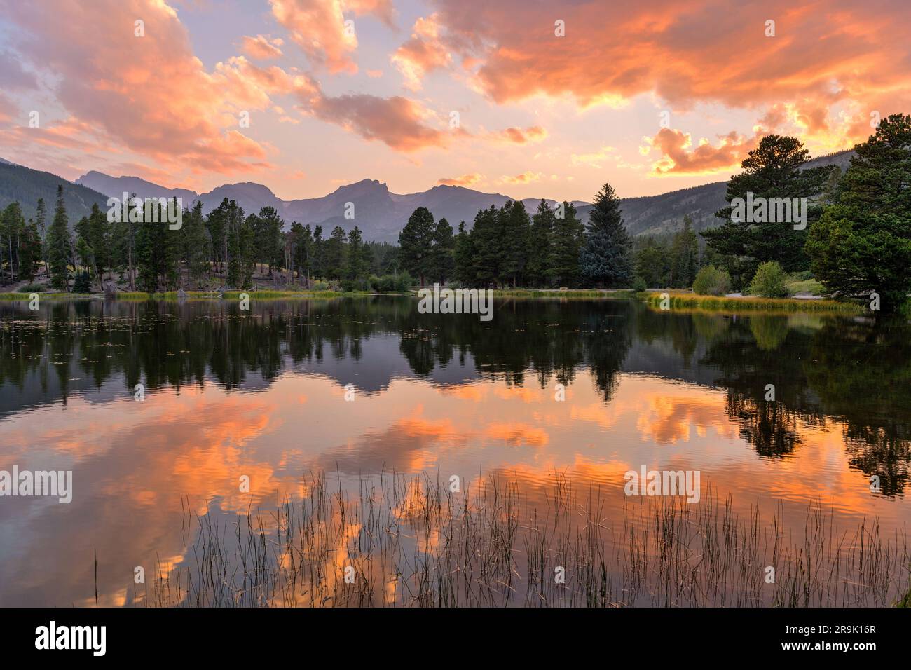 Sonnenuntergang im Sommer am Sprague Lake - Panoramablick auf den Sonnenuntergang im Sommer am Sprague Lake mit hohen Gipfeln der kontinentalen Wasserscheide am Ufer, RMNP, Colorado. Stockfoto