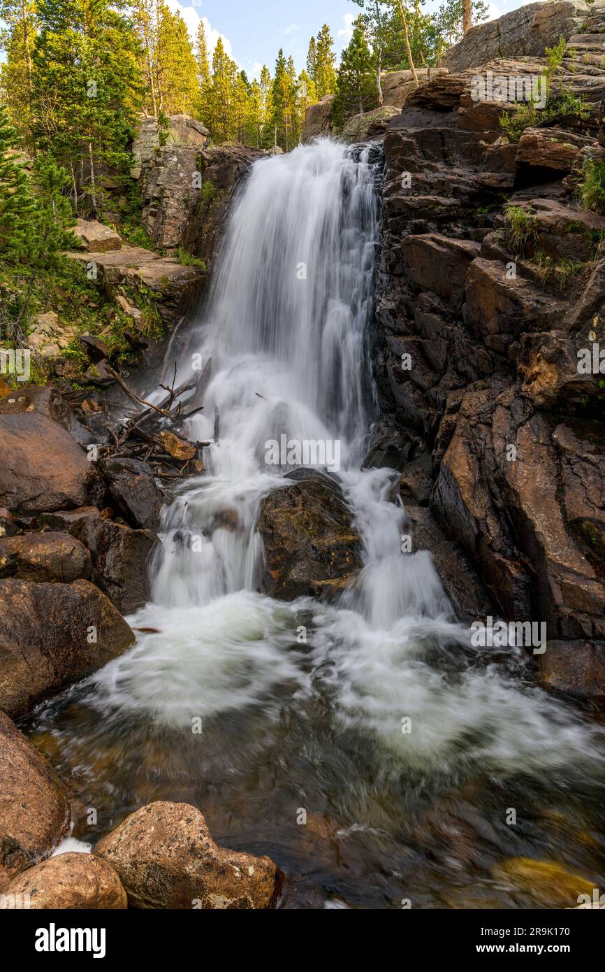 Alberta Falls - Ein vertikaler Blick auf die Alberta Falls an einem sonnigen späten Sommerabend. Rocky Mountain-Nationalpark, Colorado, USA. Stockfoto