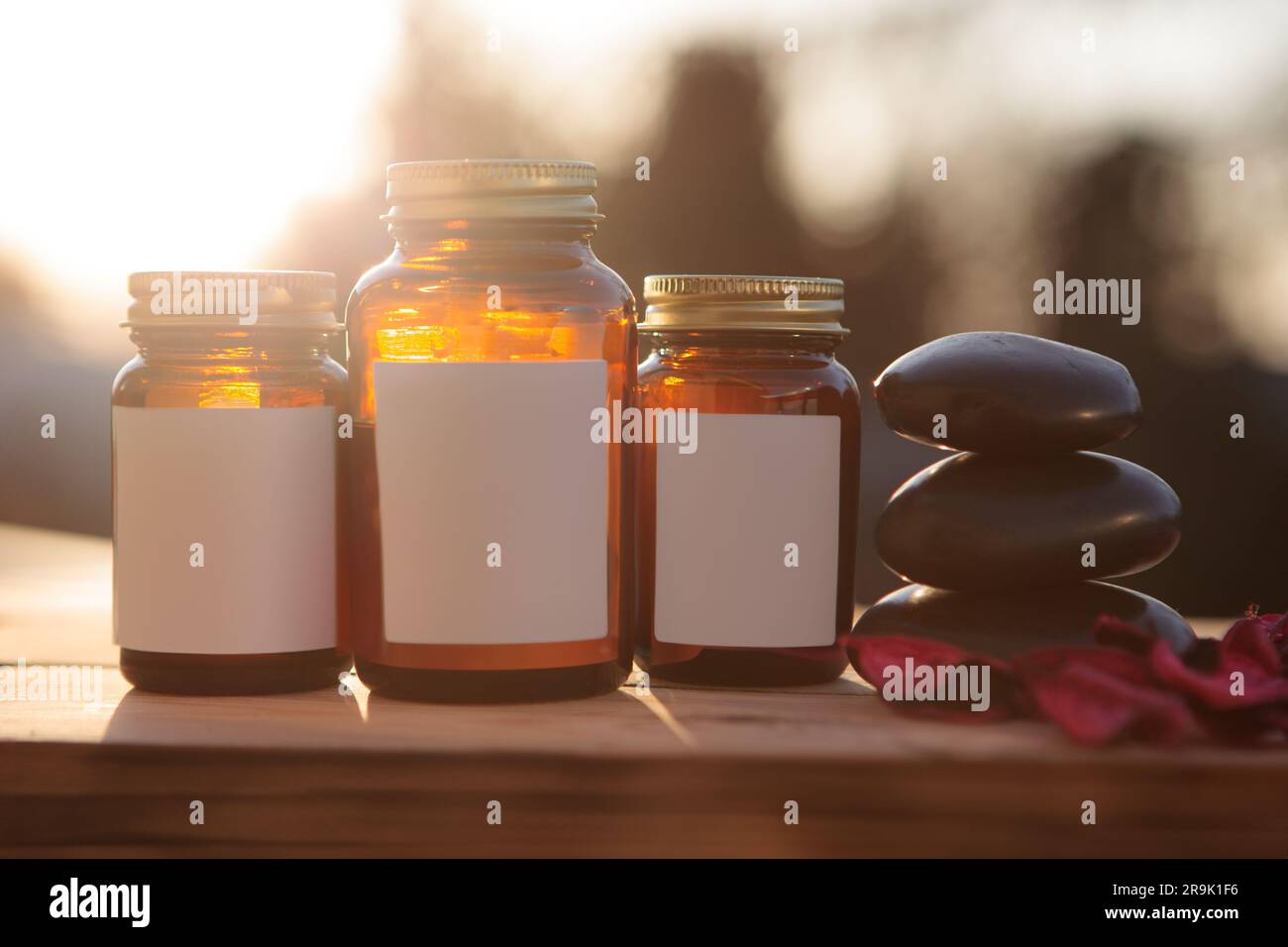Set mit drei Flaschen, Tablettenbehältern. Natürliche Heilmittel, Zusammensetzung. Leeres Label. Stockfoto