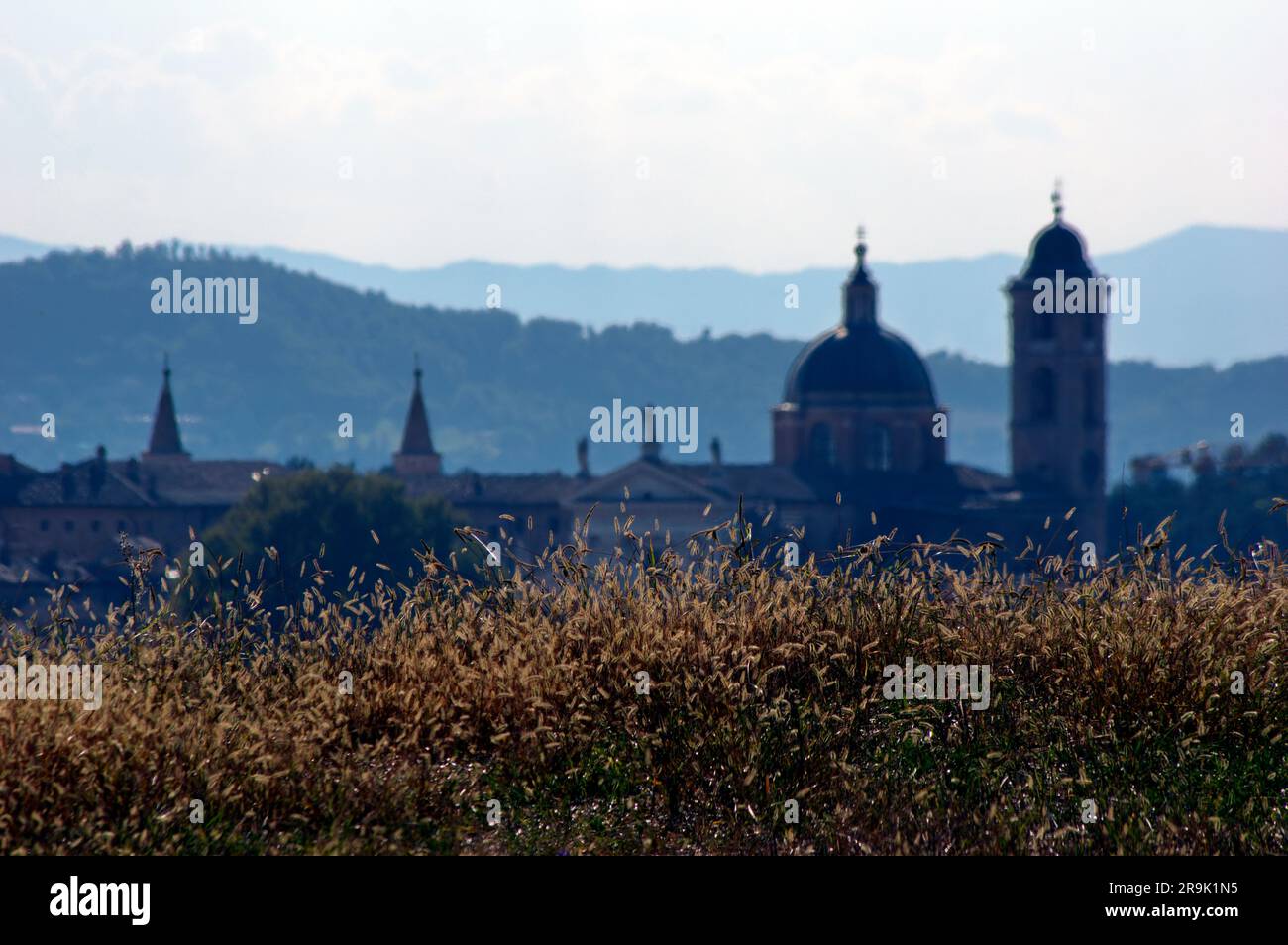 ausblick in Controluce della città di Urbino Stockfoto