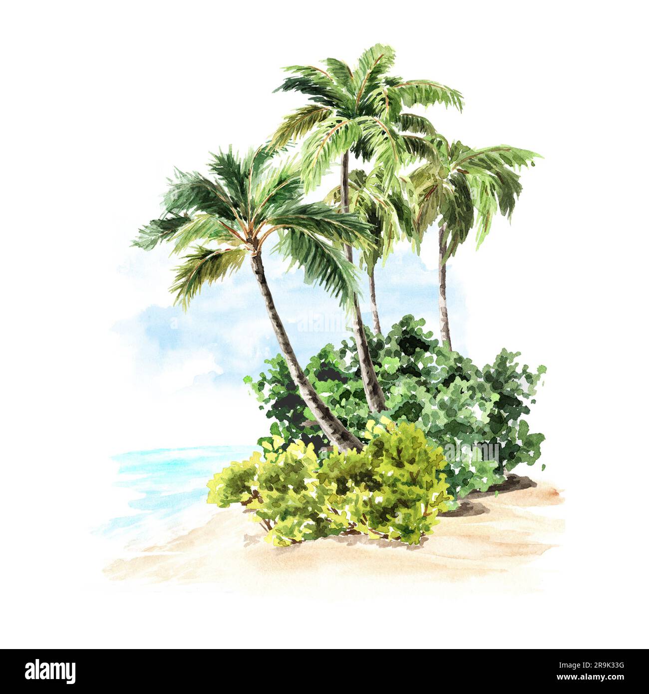 Tropische Palmen, handgemalte Aquarelle, isoliert auf weißem Hintergrund Stockfoto