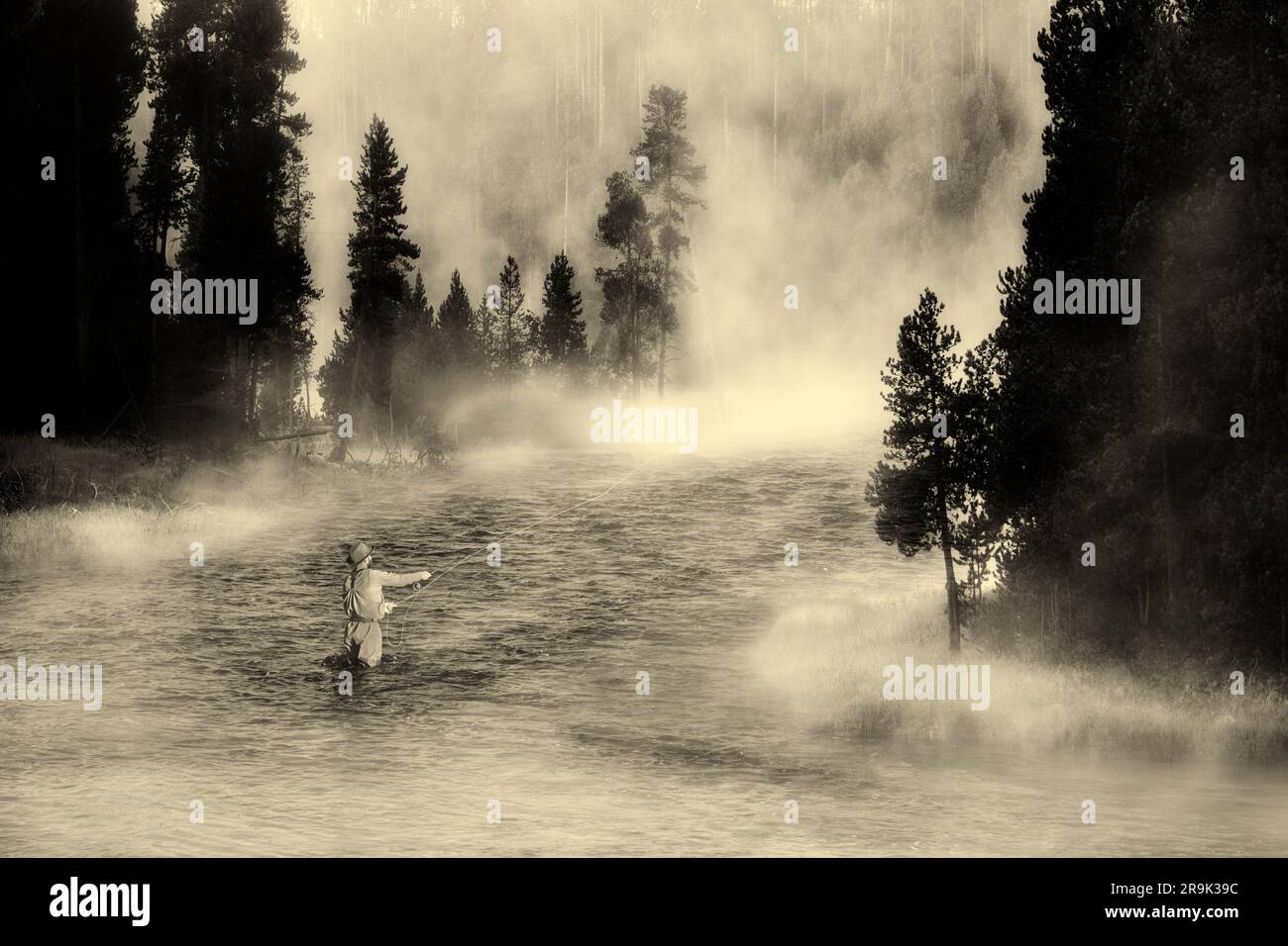 Fliegenfischer auf dem Madison River im Nebel. Yellowstone-Nationalpark, Wyoming (Foto Illustration) Fischer, hinzugefügt von einem Foto, das direkt stromabwärts aufgenommen wurde f Stockfoto