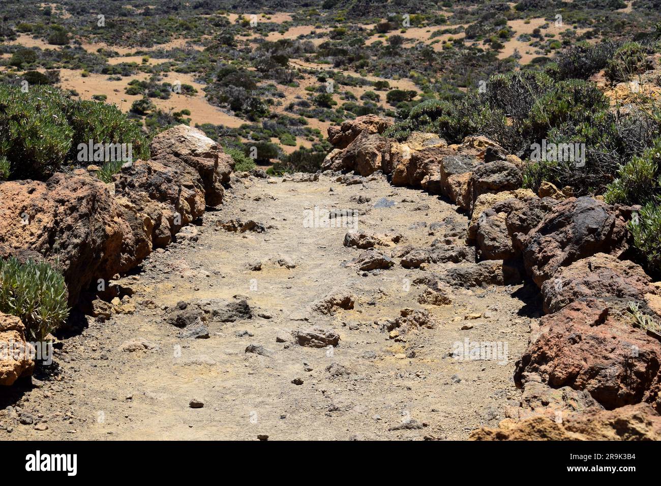 Felsiger Wanderweg ins Nirgendwo, Teide-Nationalpark, Kanarische Inseln, Spanien Stockfoto