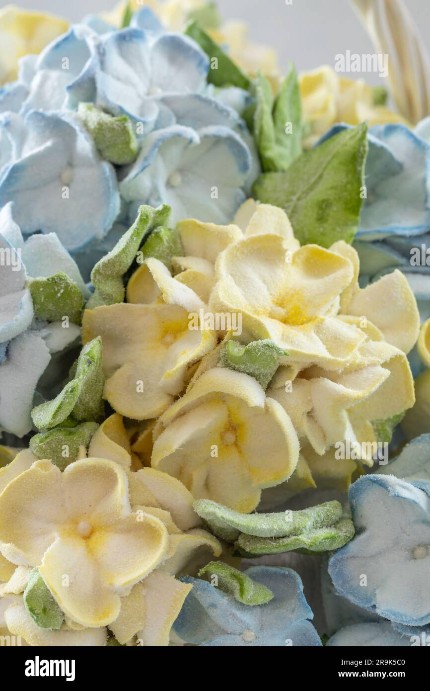 Zephyr-Blumenstrauß in einer Geschenkbox auf hellem Hintergrund Stockfoto