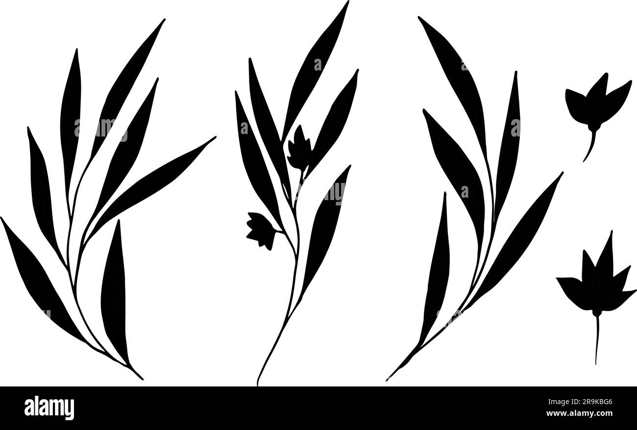 Satz von Vektorsilhouetten von Zweigen mit Blättern und Blumen. Tinte, die wilde Pflanzen zeichnet, Kräuter, monochrome botanische Illustration. Isolierte Cliparts für Stock Vektor