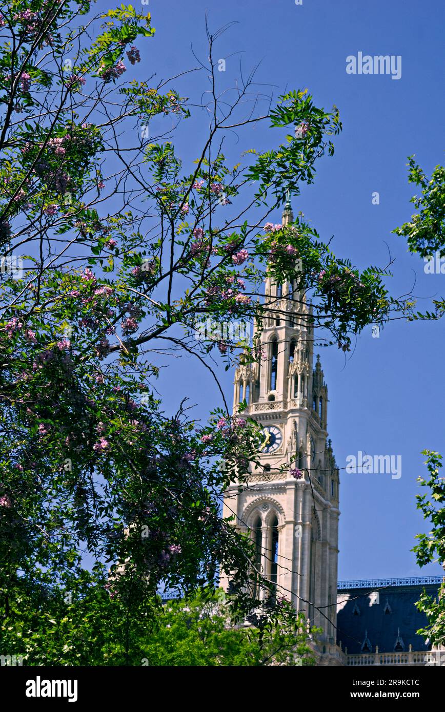 Turm des Rathauses im Hintergrund Stockfoto