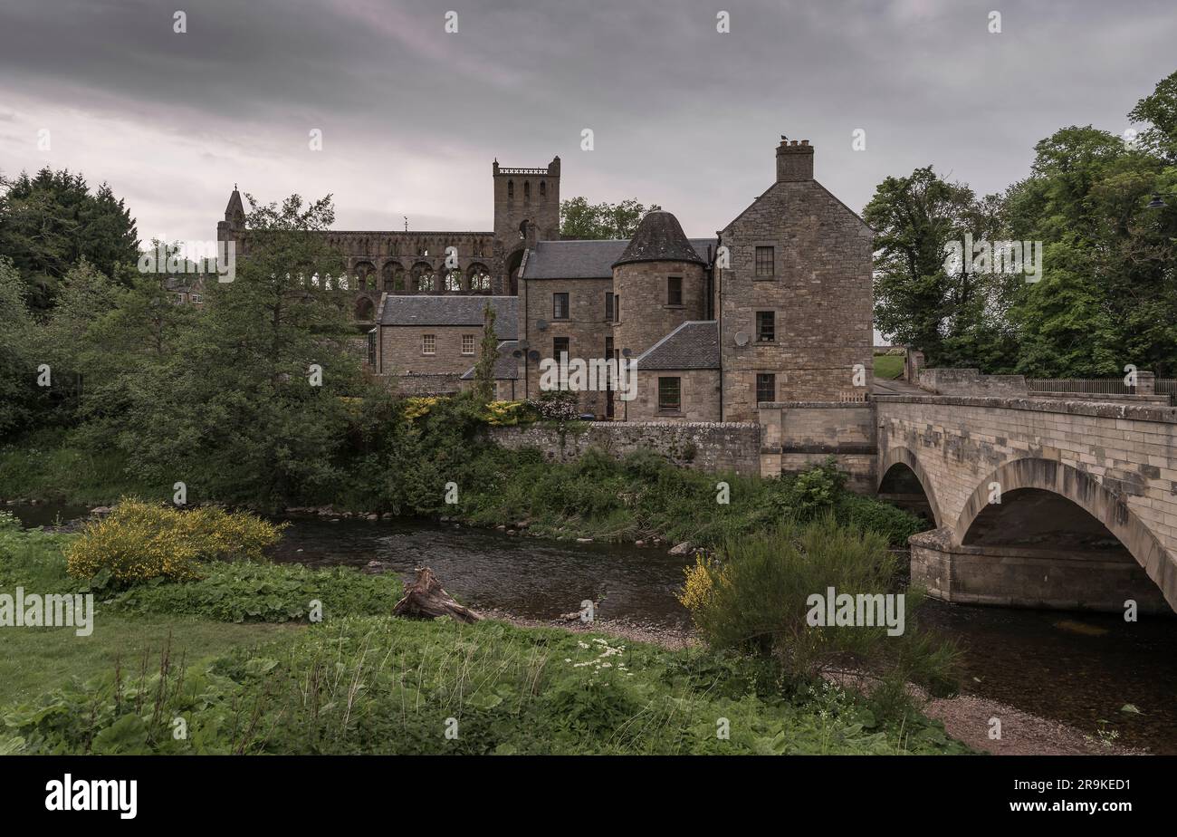 Jedburgh Abbey an der schottischen Grenze. Stockfoto