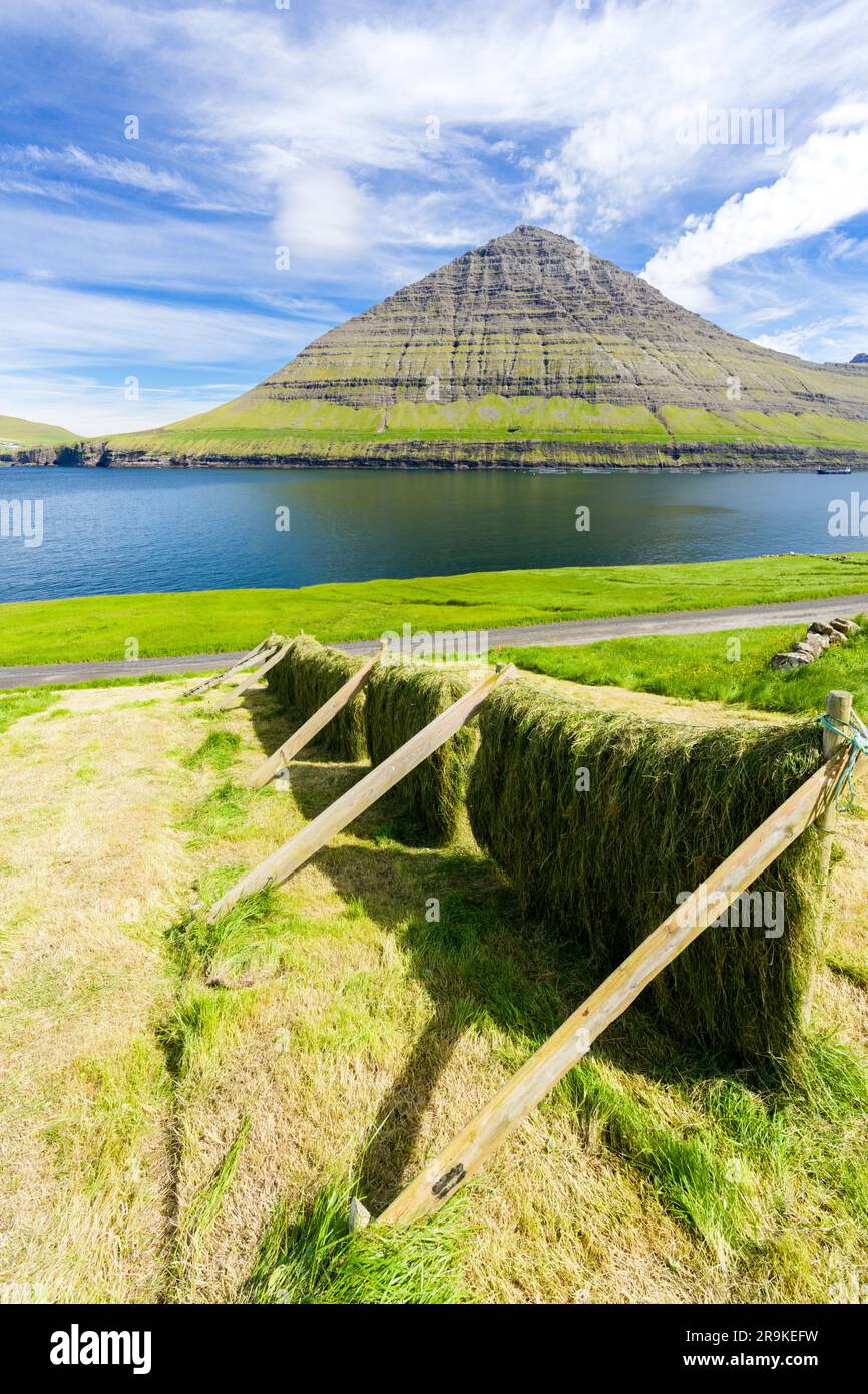 Sonniges Trocknen von Heu in den grünen Wiesen mit Bergen und Ozean im Hintergrund, Muli, Bordoy Island, Färöer Inseln, Dänemark Stockfoto