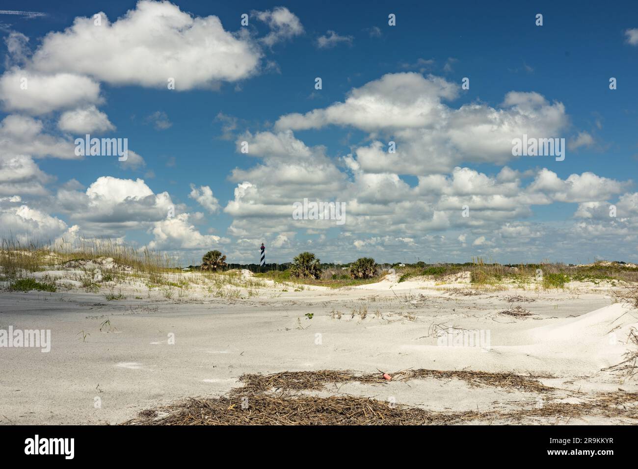 Sanddünen auf Anastasia Island in Florida Stockfoto