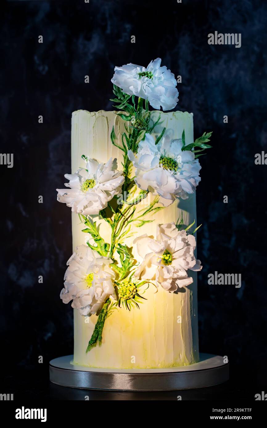 Eine Hochzeitstorte, dekoriert mit großen weißen süßen Blumen auf dunkelblauem Samthintergrund. Ein großer wunderschöner, köstlicher Kuchen ist für einen Geburtstag dekoriert Stockfoto