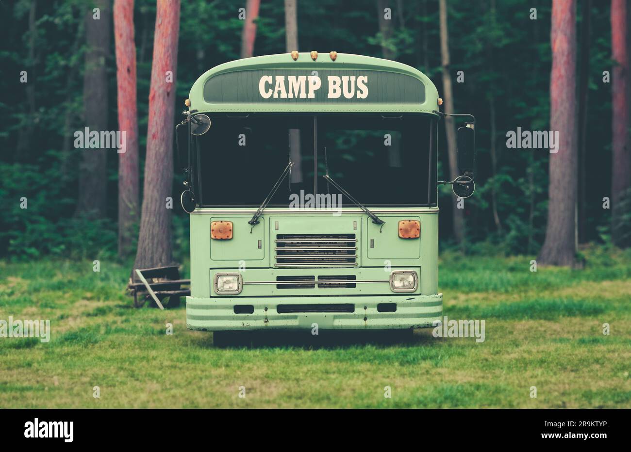 Ein Bus für Kinder zum Sommerlager in Einem wunderschönen Wald Stockfoto
