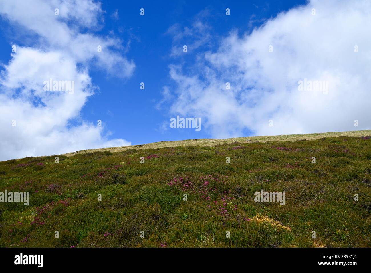 Glendevon Hillside Perthshire Stockfoto