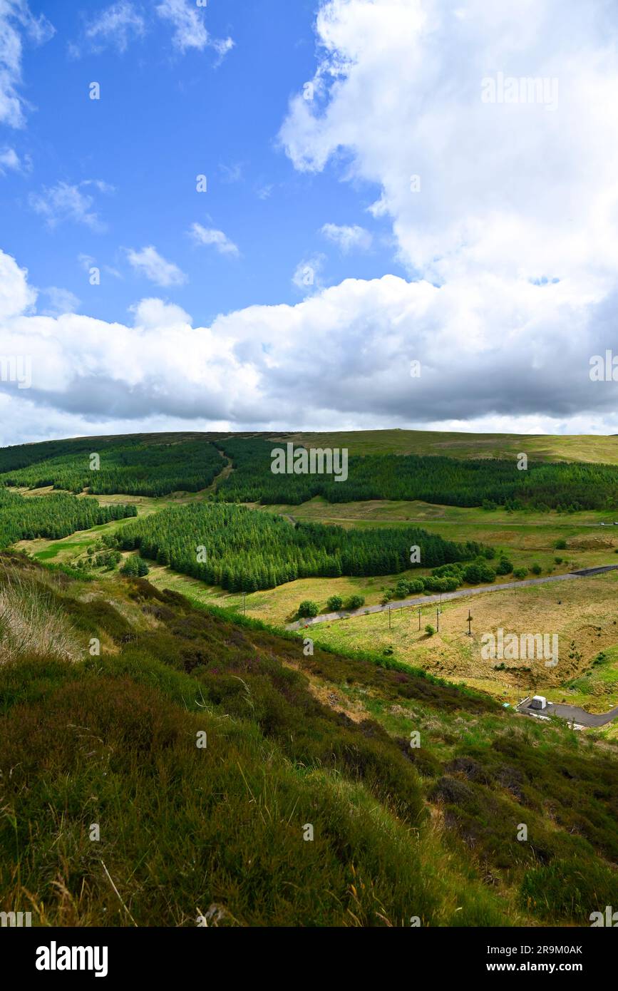 Glendevon Hillside Perthshire Stockfoto