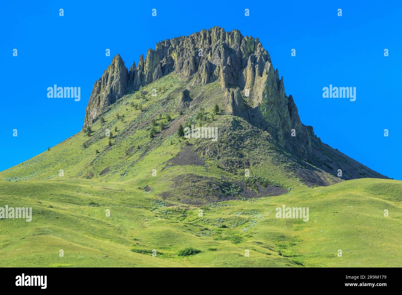 Birdtail butte steigen über die Wiese in der Nähe von Simms, Montana Stockfoto