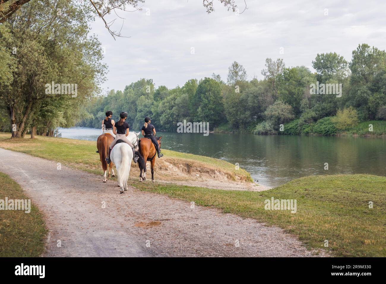 Drei weibliche Reiter genießen Reiten in der wunderschönen Natur, steigen hinunter zum Flusswasser. Konzept für Freizeit- und Freizeitfahrten. Stockfoto