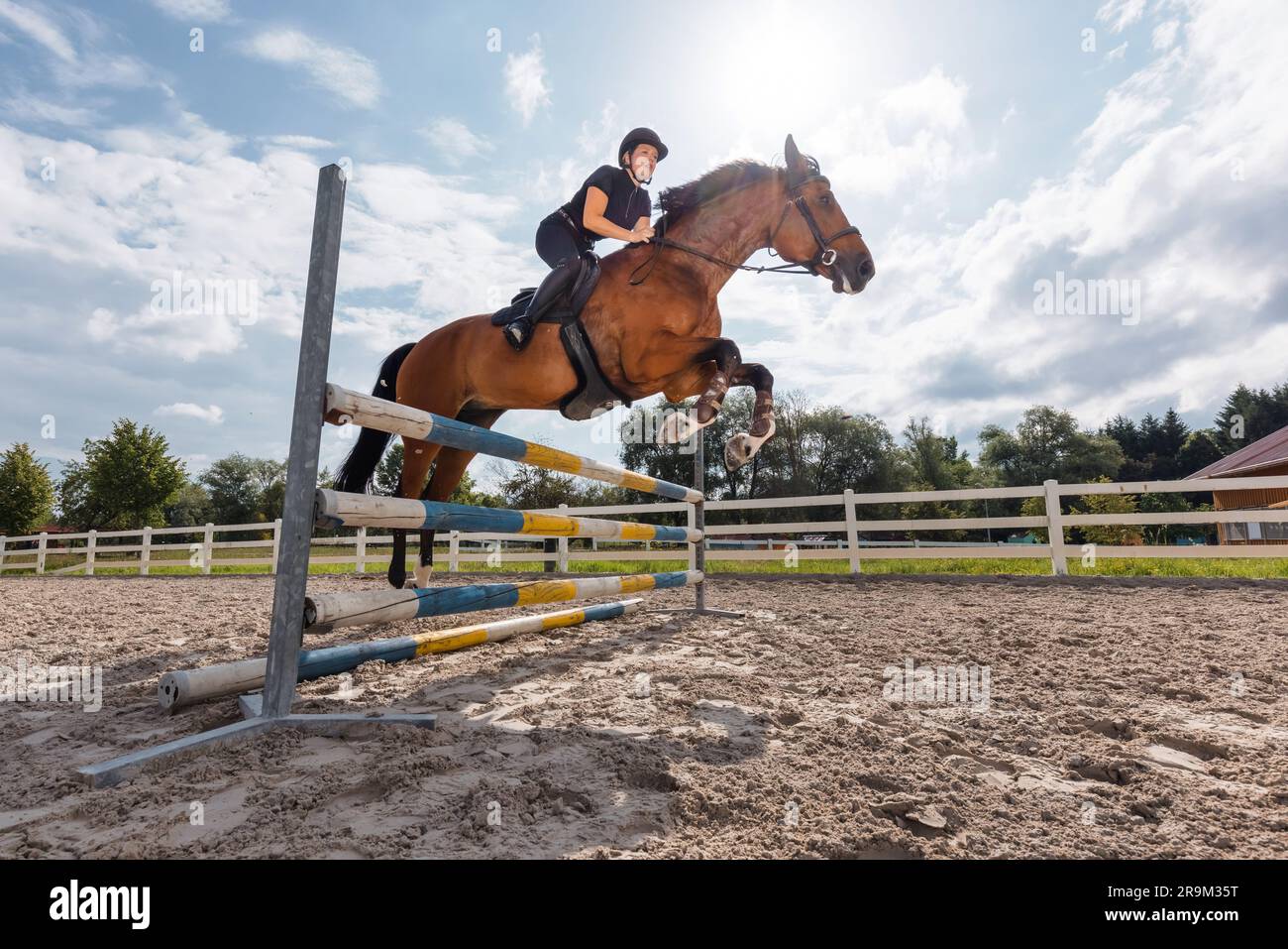 Kastanienpferd, geritten von einer weiblichen Reiterin in schwarzem Reitkostüm, springt über Hürden in der offenen Arena, niedriger Winkel. Stockfoto