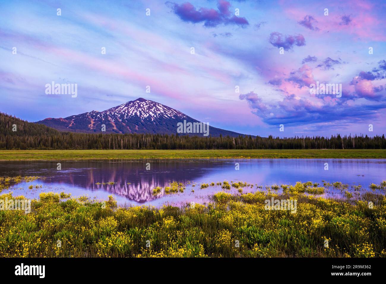 Sparks Lake Meadow und Mt. Junggeselle mit Bach und Wildblumen bei Sonnenuntergang. Cascades Im Zentrum Von Oregon Stockfoto