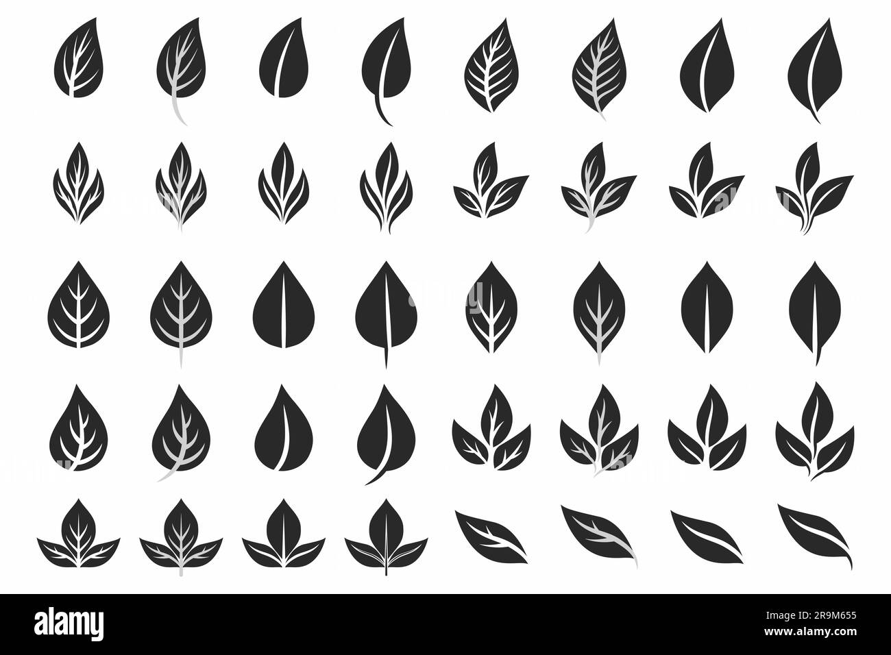 Vector Flat Black and White Leaf-Symbolgruppe isoliert. Leaves Collection, Dekorationselemente Entwerfen. Frühling, Sommerblätter, Pflanzen, Kräuter für Logo Stock Vektor