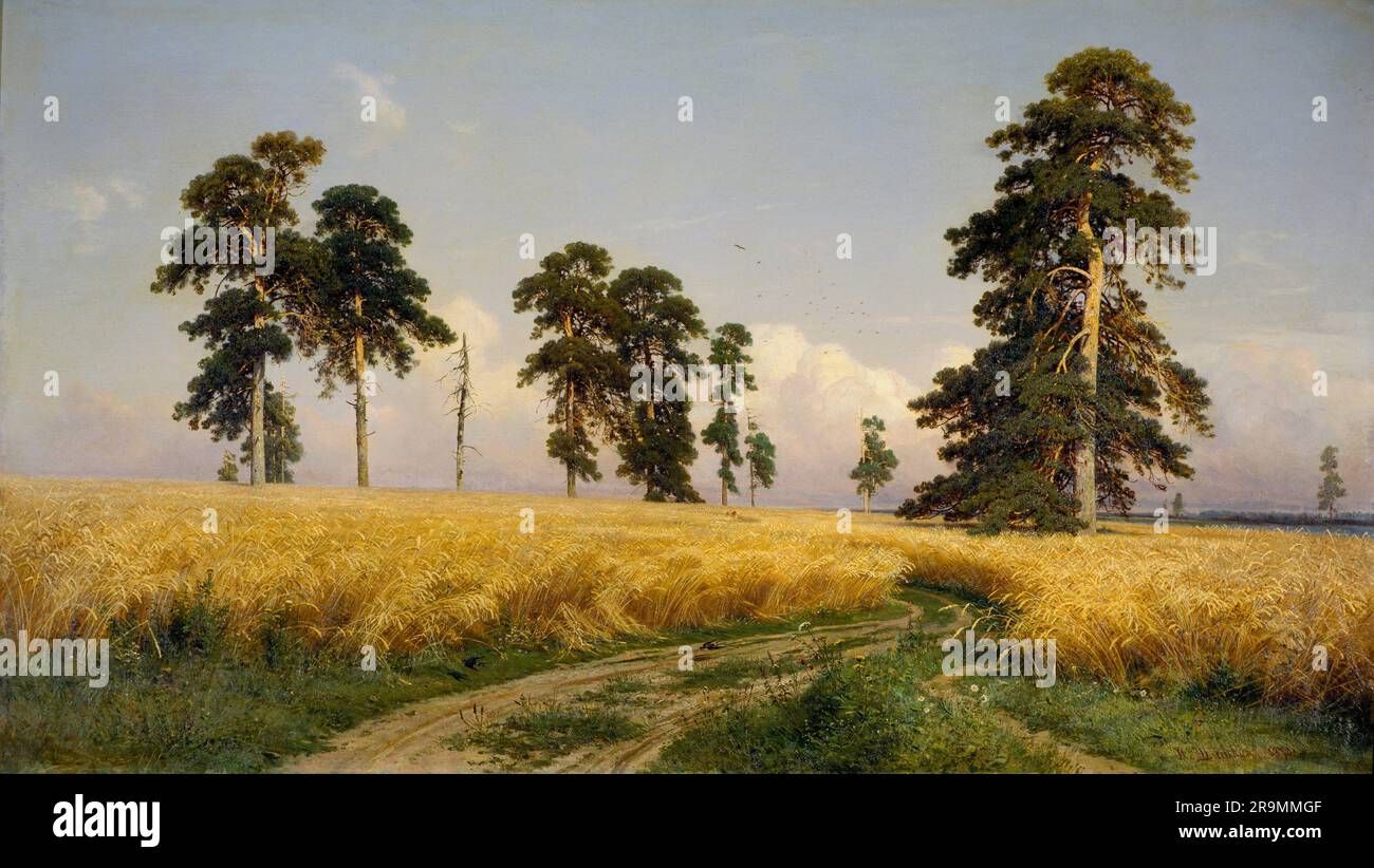 Roggenfelder von Ivan Shishkin. Dieses Werk ist in den Vereinigten Staaten öffentlich zugänglich, und in den Ländern, in denen der Urheber eine Lebenszeit hat Stockfoto