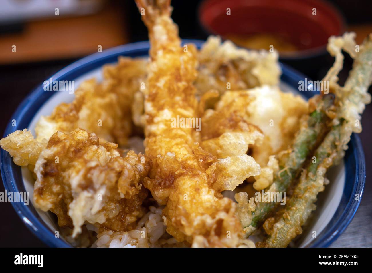 Eine Schüssel japanisches Essen, Tempura auf Reis in Tokio, Japan Stockfoto