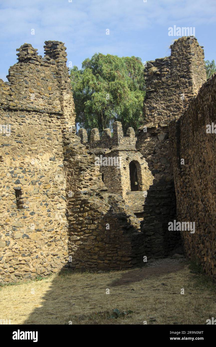 Afrika, Äthiopien, Gondar The Royal Gehäuse Alem Seghed Fasil Burg Stockfoto