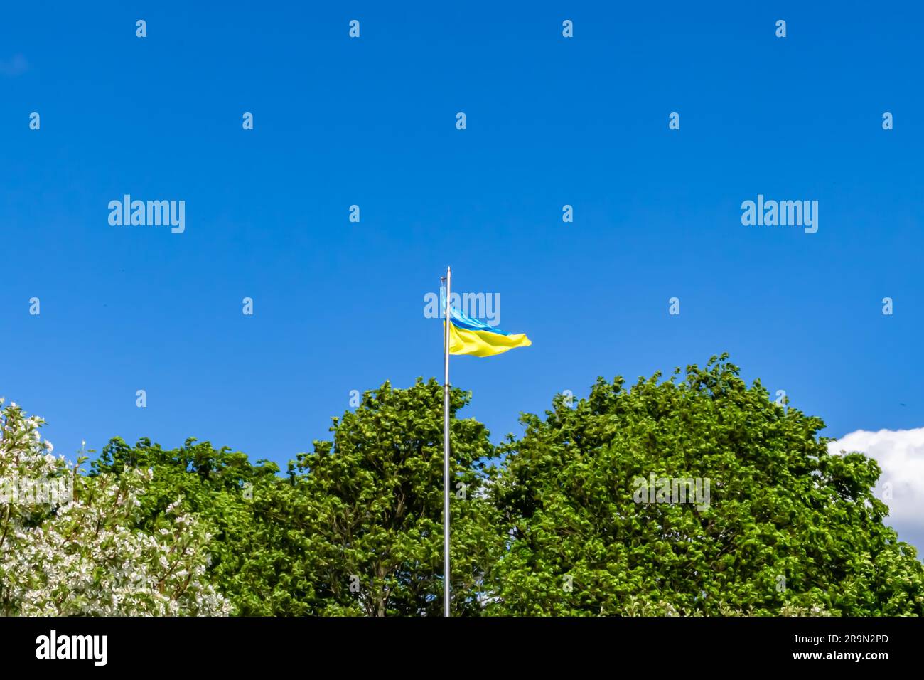 Fotografie zum Thema Nationale ukrainische Flagge in friedlichem Himmel flattern in leichtem Wind, Foto bestehend aus ukrainischer Flagge auf Hintergrund Freiheitshimmel, U Stockfoto