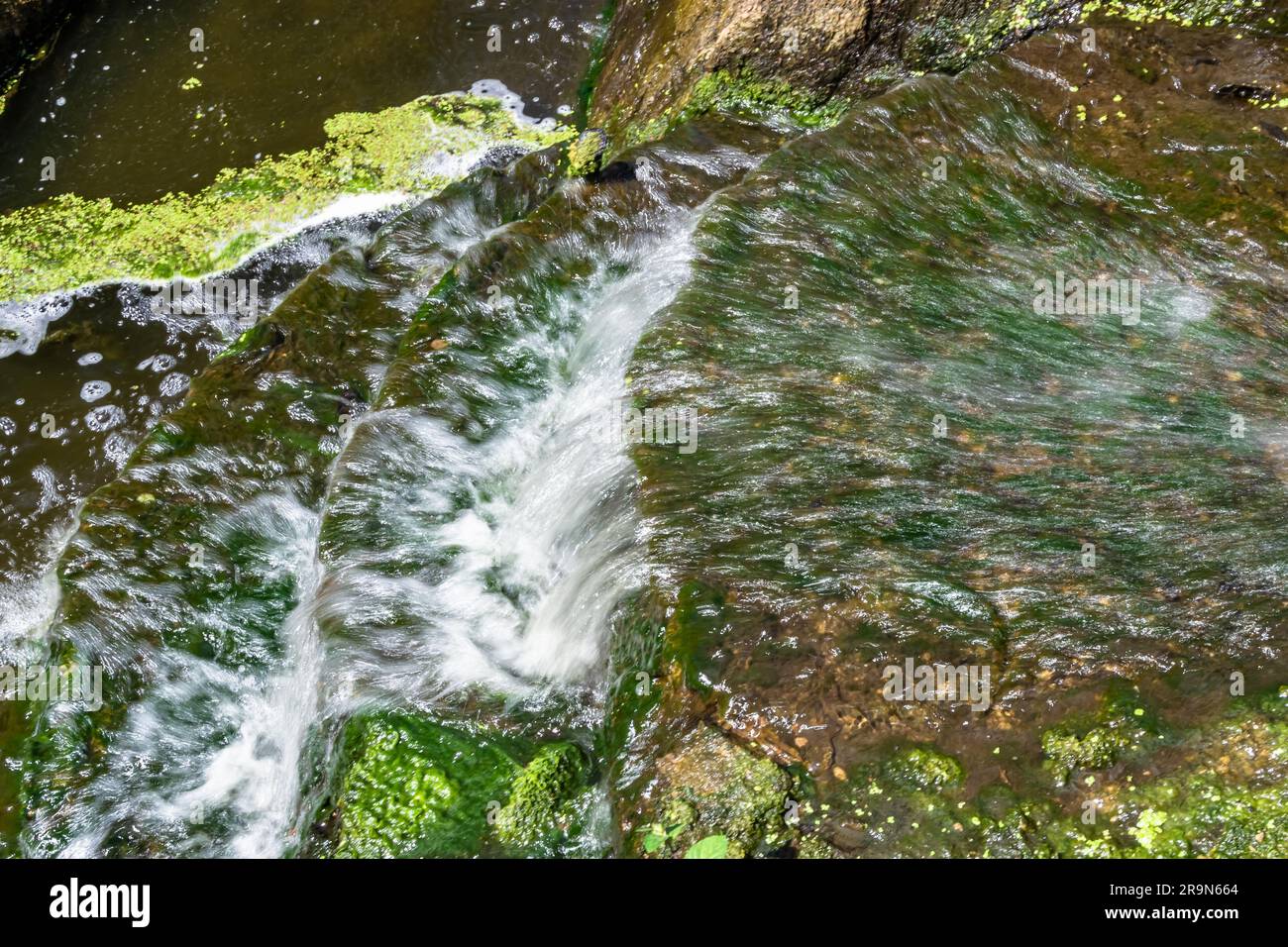 Fotografie zum Thema: Wunderschönes Herbstwasser vom Wasserfall im Garten, natürliche Textur aus nächster Nähe, Foto bestehend aus klarem Herbstwasser mit Naturgarten Wat Stockfoto