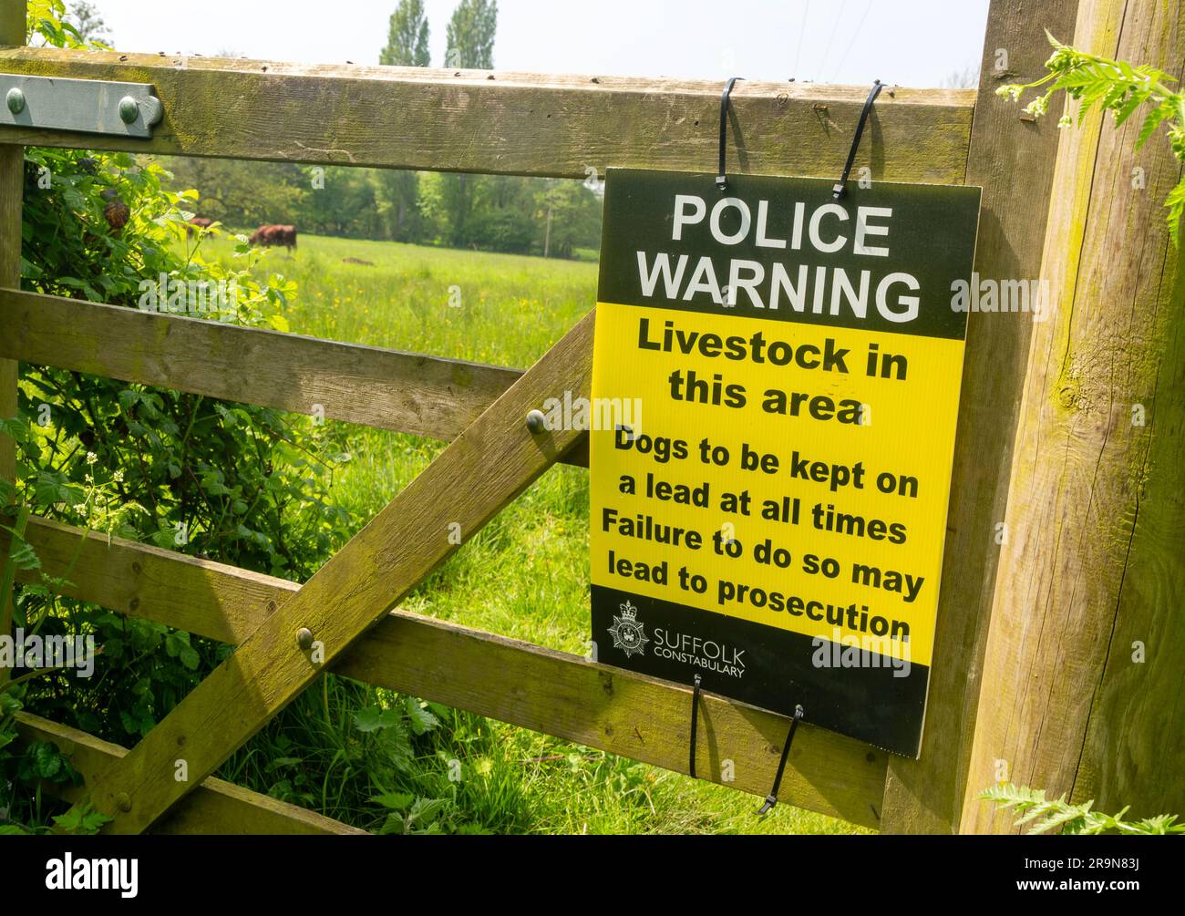 Polizeiwarnschild am Tor über Vieh auf dem Feld, Hunde auf Blei, Suffolk Constabulary, England, Großbritannien Stockfoto