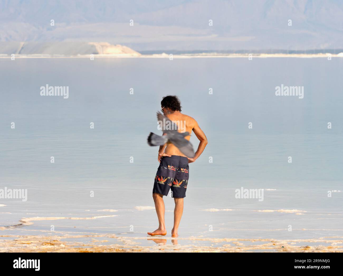 Eingebettet in ein Grabtal zwischen Jordanien im Osten und Israel im Westen liegt ein Salzsee; dies ist zufällig der niedrigste Ort an Land Stockfoto