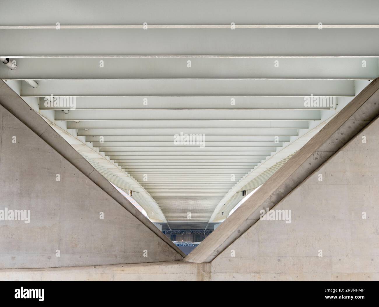 Benannt nach dem großen holländischen Philosophen und Humanisten aus der Renaissance, trägt die wunderschöne neue Hängebrücke von Rotterdam erheblich zur Skyline der Stadt bei Stockfoto