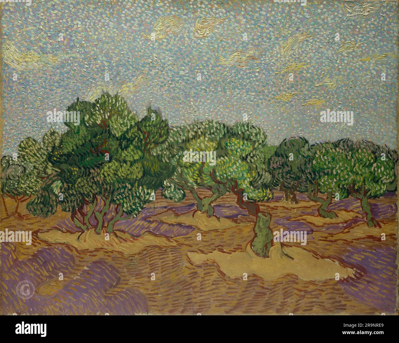 Vincent van Gogh – Olivenplantage 1889. Stockfoto