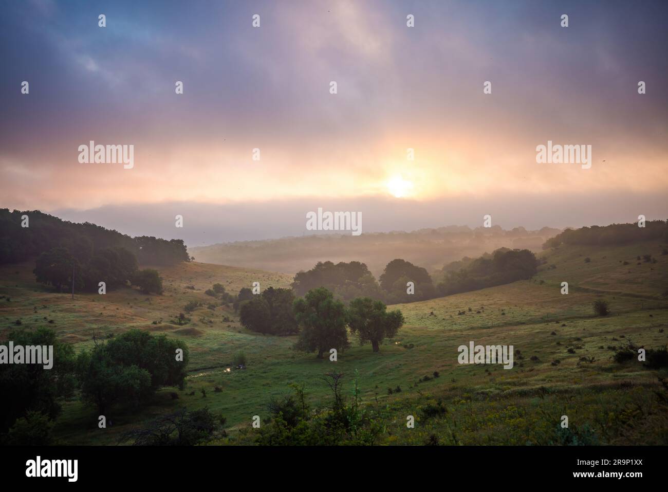 Naturlandschaft der Berghügel - Sonnenaufgangsnebel über Bäumen und Weiden Stockfoto